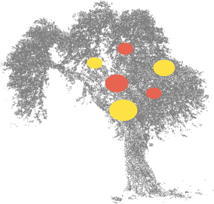 MathResources Inc. tree